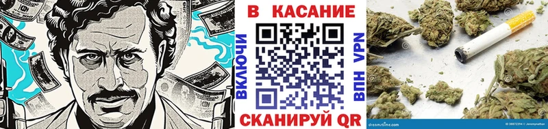 Виды наркоты Ельня Конопля  МЕГА маркетплейс  Cocaine  ГАШИШ  Меф мяу мяу  Псилоцибиновые грибы 