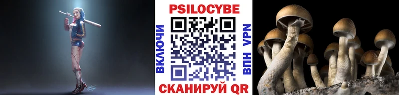Псилоцибиновые грибы MAGIC MUSHROOMS  Ельня 